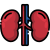 Liver Icon