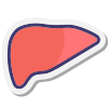 Liver Icon